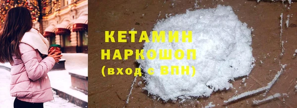 гидра Ельня