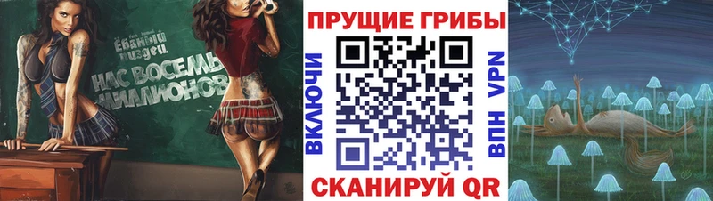 Галлюциногенные грибы Cubensis  блэк спрут ССЫЛКА  Салават  наркота 